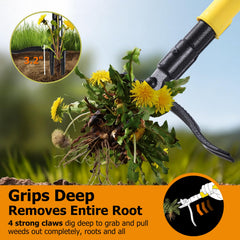 CJYMMFAN Stand Up Weed Puller Tool showing reinforced steel footplate