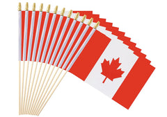 Ckexin mini Canadian flag handheld 5x8 inches front view