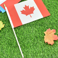 Ckexin mini Canadian flags in outdoor setting