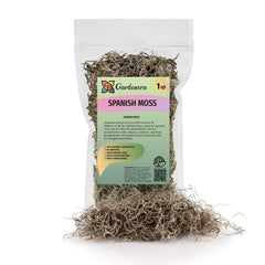 Cleaned and fumigated Spanish moss in a box