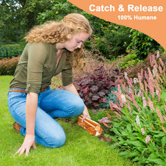 Cleaning brush included with Wanqueen mouse traps package