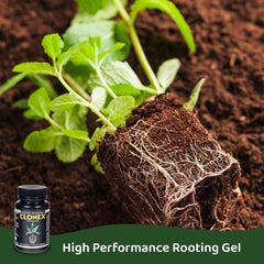 Clonex Rooting Gel with applicator and cuttings setup