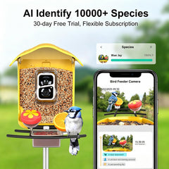 Close-up of 2K HD camera lens on birdsnap PAV Bird Feeder
