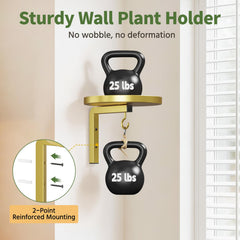Close-up of 8-inch tray of LASZOLA Wall Mount Plant Shelf