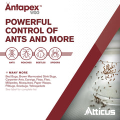 Close-up of a 10-gram packet of Antapex WSG Insecticide