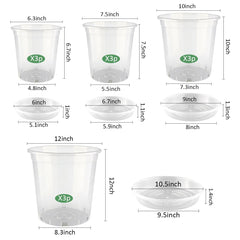 Close-up of a BTPLASTIK clear nursery pot with drainage holes