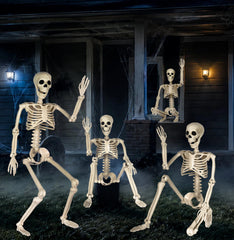 Close-up of Aimeiar skeleton's movable joints