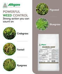Close-up of ALLIGARE Diuron 80 DF Herbicide granules