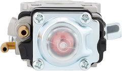 Close-up of Annolai carburetor with fuel line and filter