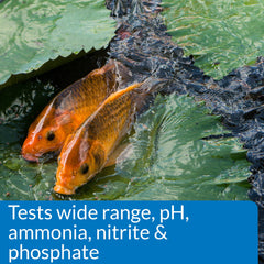 Close-up of API Pond Master Test Kit color matching charts