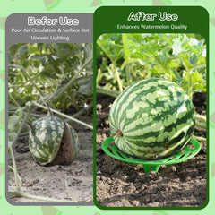 Close-up of ATLIKE Melon Cradle showing stability
