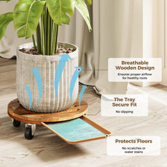 Close-up of Bamworld Plant Caddy showing slatted design and drainage tray