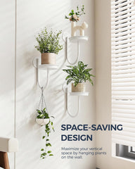 Close-up of Bamworld Wall Plant Holder heavy-duty iron construction