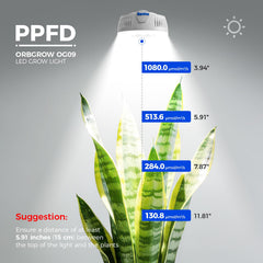Close-up of Barrina Puck Grow Light OG09 LED chip