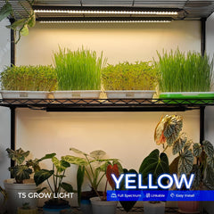 Close-up of Barrina T5 Grow Light on/off switch