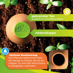 Close-up of Bio Green clay watering spike