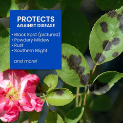 Close-up of BioAdvanced All-In-One Rose & Flower Care Concentrate label