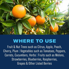 Close-up of BioAdvanced Fruit & Citrus Tree Insect Control Concentrate liquid
