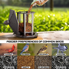 Close-up of Birdream Bird Feeder transparent panel
