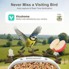 Close-up of Birdsnap camera lens and birdseed compartment