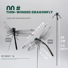 Close-up of Black Dragon Fly Clip wings