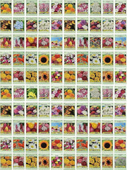 Close-up of Black Duck flower seed packets featuring sunflower and marigold