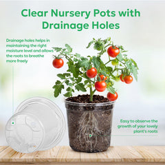 Close-up of Bluepro nursery pot with roots visible