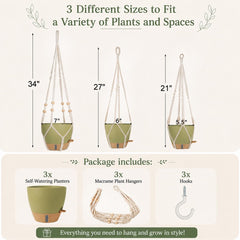 Close-up of Bouqlife macrame plant hanger with sage green pot