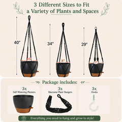 Close-up of Bouqlife self-watering pot with absorbent rope
