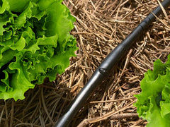 Close-up of built-in emitters on Habitech drip irrigation tubing