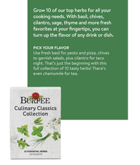 Close-up of Burpee's basil seed packet from the Culinary Classics collection