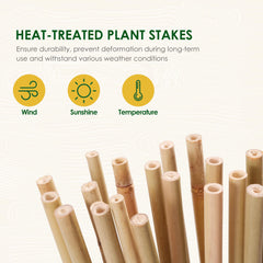 Close-up of Cambaverd Bamboo Stakes 3ft natural bamboo material