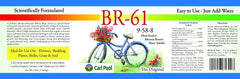 Close-up of Carl Pool BR-61 Plant Food powder texture