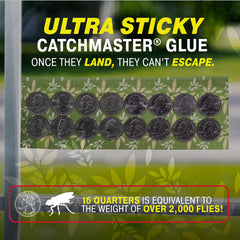 Close-up of Catchmaster fly trap with leaf design