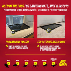 Close-up of Catchmaster glue trap surface