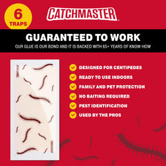 Close-up of Catchmaster glue trap with discreet design