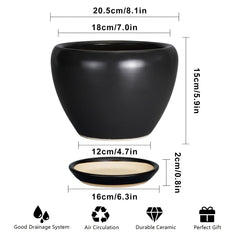 Close-up of Ceramicfor planter pot and saucer