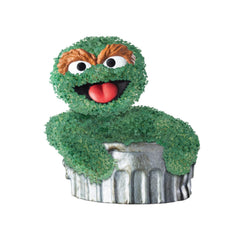 Close-up of Chia Oscar the Grouch planter details