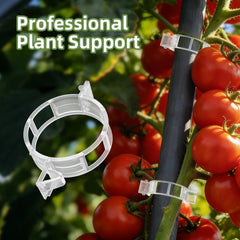 Close-up of CLEANGOR Plant Support Clip showing buckle design