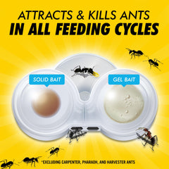 Close-up of Combat Max 2in1 Ant Bait Station gel