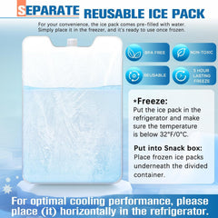 Close-up of compartments in TENDWARE LIFE Snackle Box Container