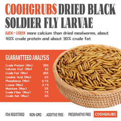 Close-up of COOHGRUBS dried larvae showing quality
