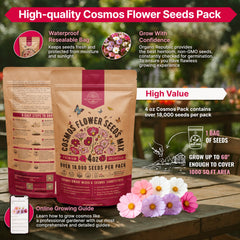 Close-up of cosmos seeds in resealable bag