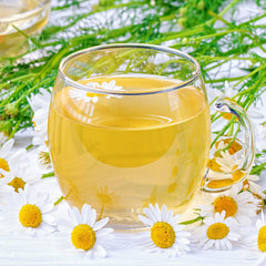 Close-up of dainty chamomile flowers