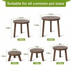 Close-up of Delma plant stand showing smooth surface