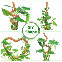 Close-up of Dimpoo moss pole with jute rope and green tape