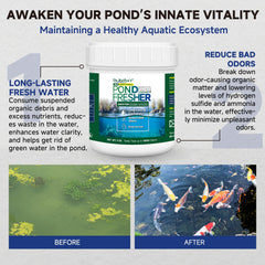 Close-up of Dr.Raifya's Pond Fresher pellets