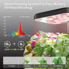 Close-up of DRYADES self-watering plant pot and LED grow light