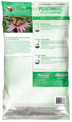 Close-up of Earth Science wildflower seeds