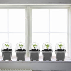Close-up of EBaokuup nursery pot drainage holes